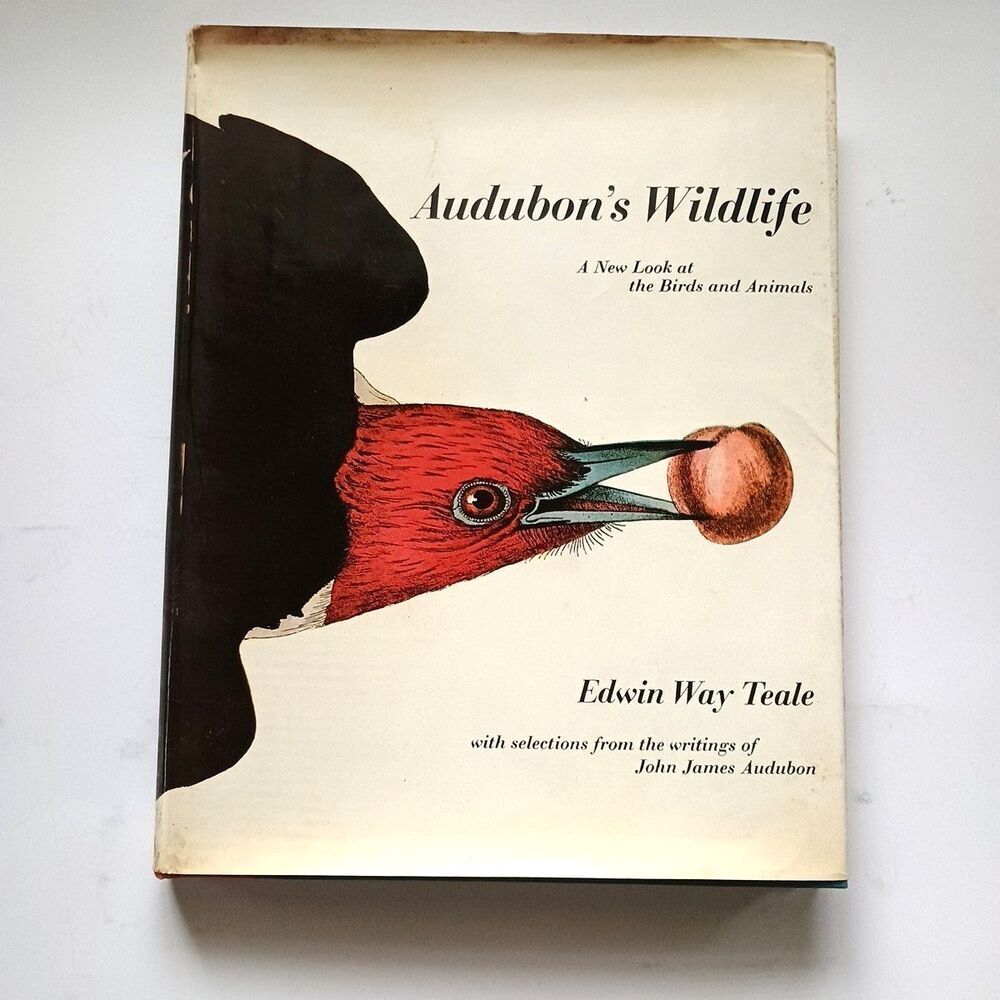 Audubon's Wildlife A New Look at the Birds and Animals by Edwin Way Teale (1964)